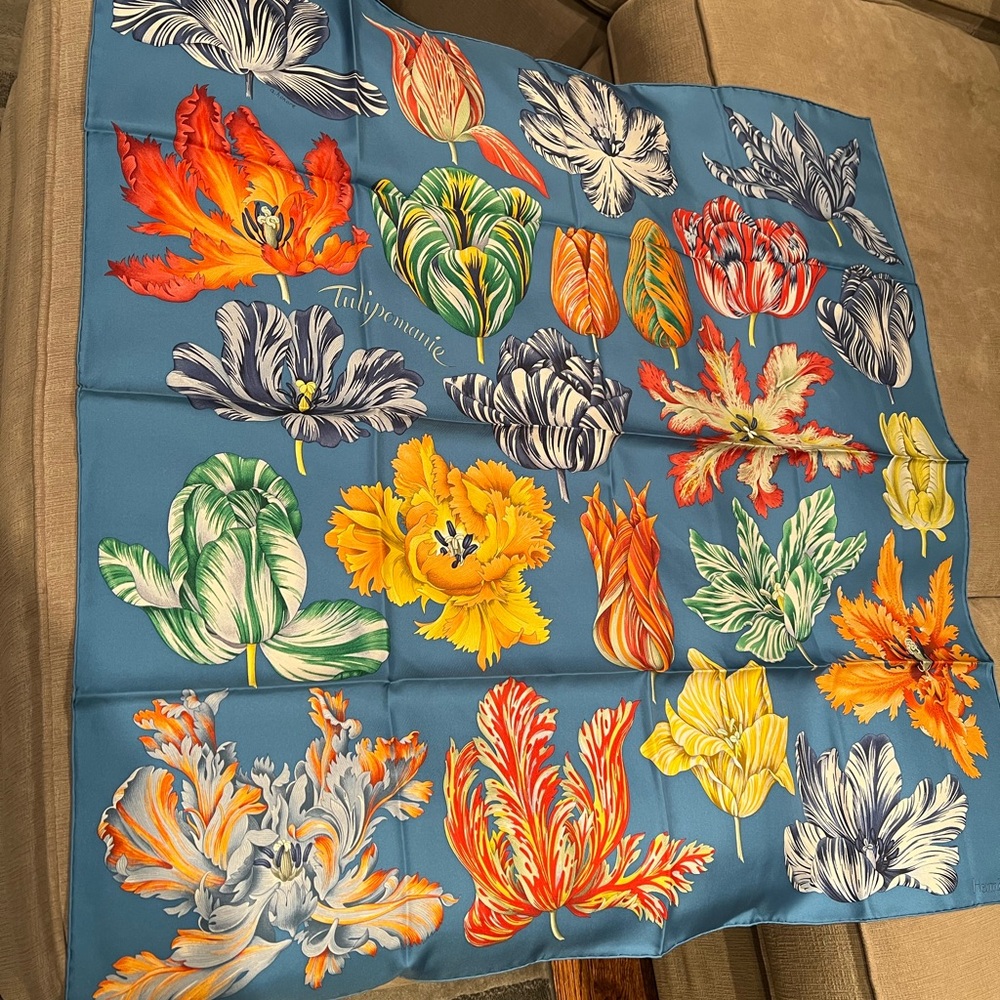 Hermes Scarf